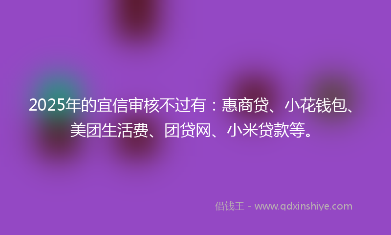 2025年的宜信审核不过有：惠商贷、小花钱包、美团生活费、团贷网、小米贷款等。