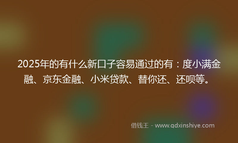 2025年的有什么新口子容易通过的有：度小满金融、京东金融、小米贷款、替你还、还呗等。