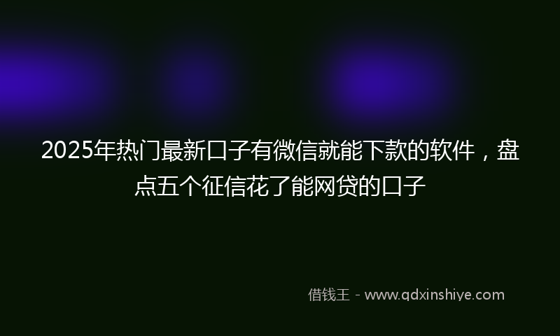 2025年热门最新口子有微信就能下款的软件，盘点五个征信花了能网贷的口子