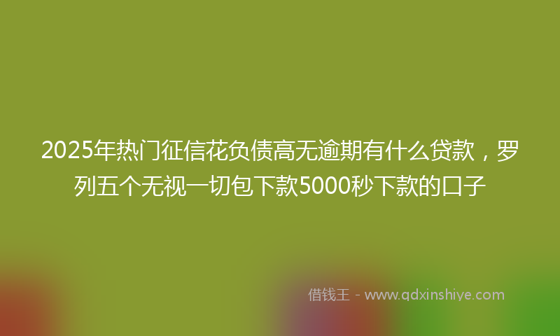 2025年热门征信花负债高无逾期有什么贷款，罗列五个无视一切包下款5000秒下款的口子