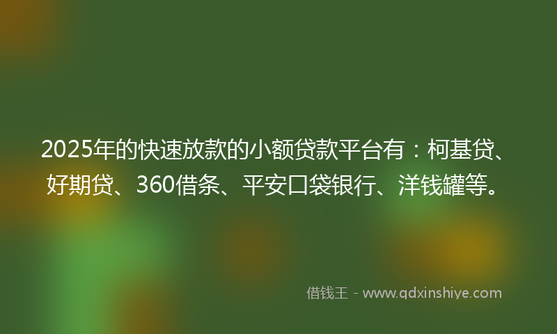 2025年的快速放款的小额贷款平台有：柯基贷、好期贷、360借条、平安口袋银行、洋钱罐等。