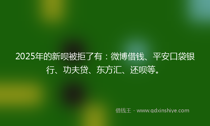 2025年的新呗被拒了有：微博借钱、平安口袋银行、功夫贷、东方汇、还呗等。