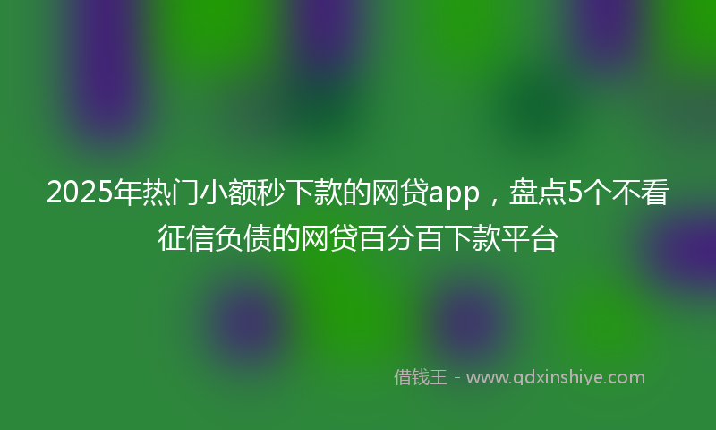 2025年热门小额秒下款的网贷app，盘点5个不看征信负债的网贷百分百下款平台