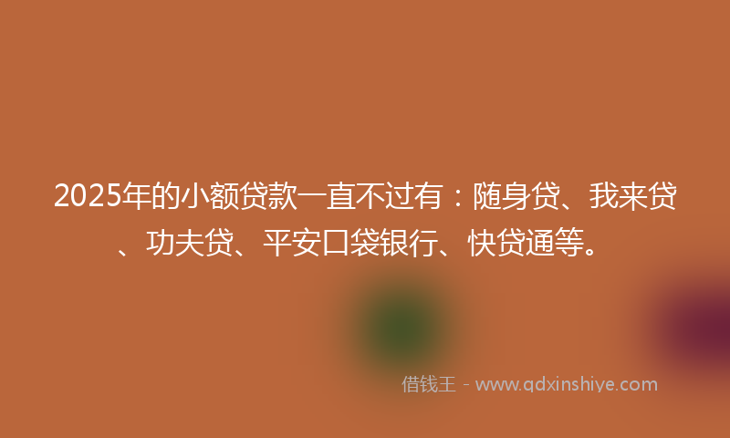 2025年的小额贷款一直不过有：随身贷、我来贷、功夫贷、平安口袋银行、快贷通等。