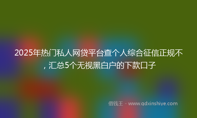 2025年热门私人网贷平台查个人综合征信正规不，汇总5个无视黑白户的下款口子