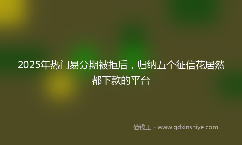 2025年热门易分期被拒后，归纳五个征信花居然都下款的平台