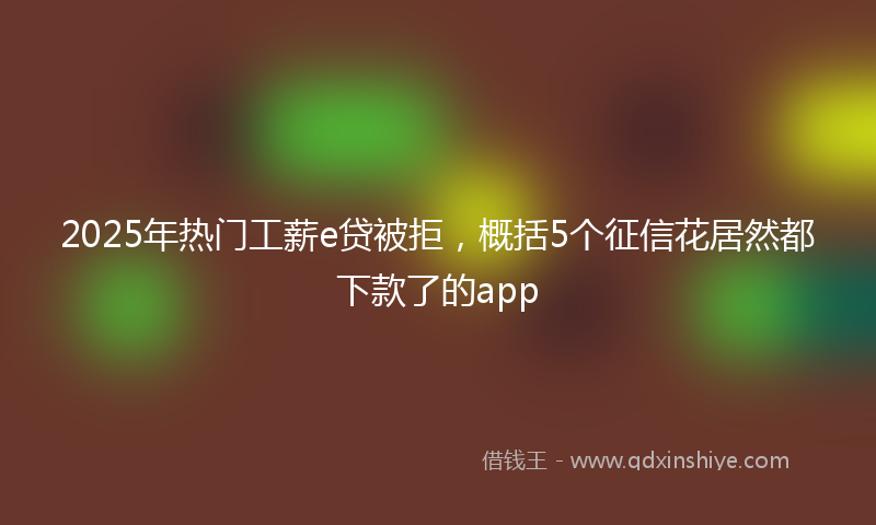 2025年热门工薪e贷被拒,概括5个征信花居然都下款了的app