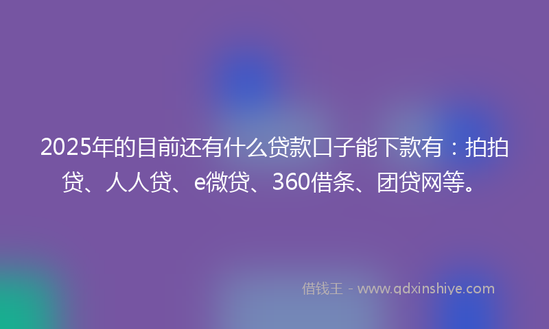 2025年的目前还有什么贷款口子能下款有：拍拍贷、人人贷、e微贷、360借条、团贷网等。