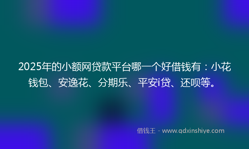 2025年的小额网贷款平台哪一个好借钱有：小花钱包、安逸花、分期乐、平安i贷、还呗等。