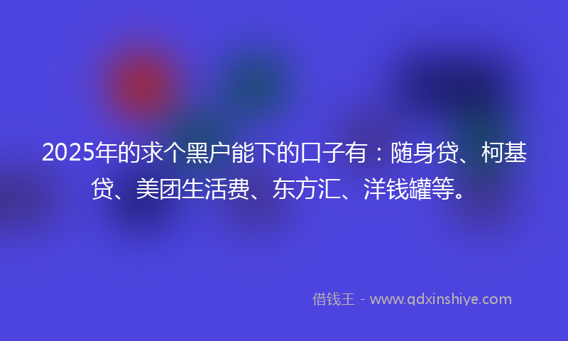 2025年的求个黑户能下的口子有：随身贷、柯基贷、美团生活费、东方汇、洋钱罐等。