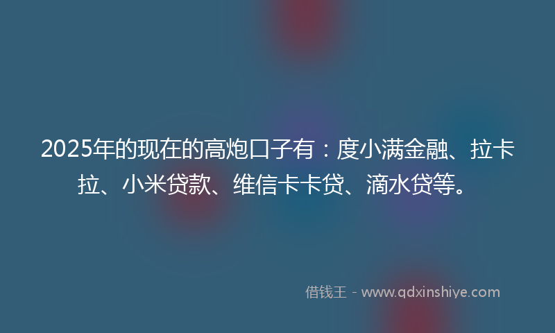 2025年的现在的高炮口子有：度小满金融、拉卡拉、小米贷款、维信卡卡贷、滴水贷等。