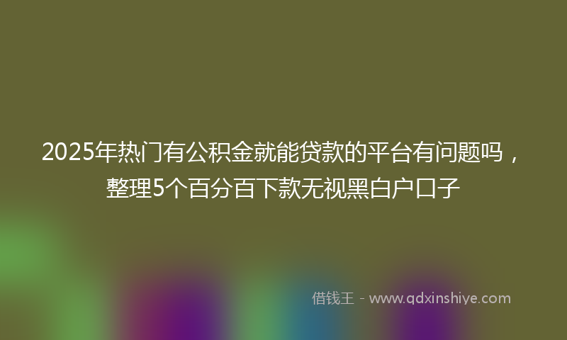 2025年热门有公积金就能贷款的平台有问题吗，整理5个百分百下款无视黑白户口子