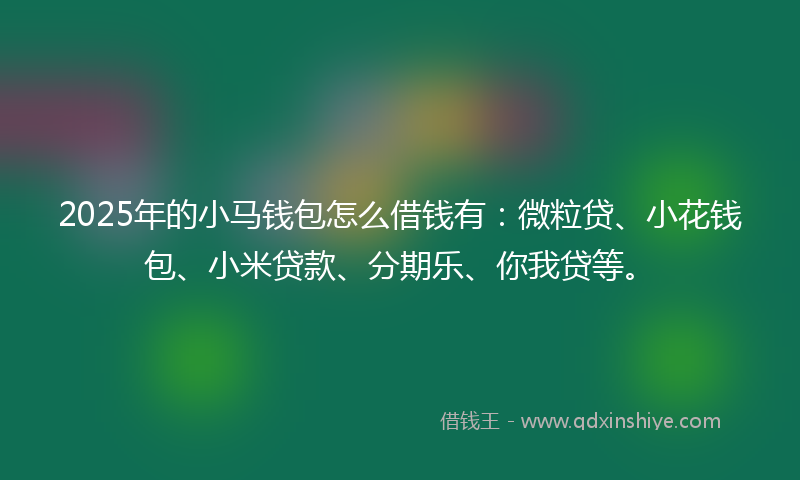 2025年的小马钱包怎么借钱有：微粒贷、小花钱包、小米贷款、分期乐、你我贷等。
