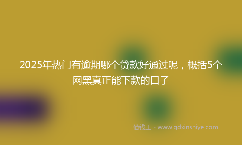 2025年热门有逾期哪个贷款好通过呢，概括5个网黑真正能下款的口子