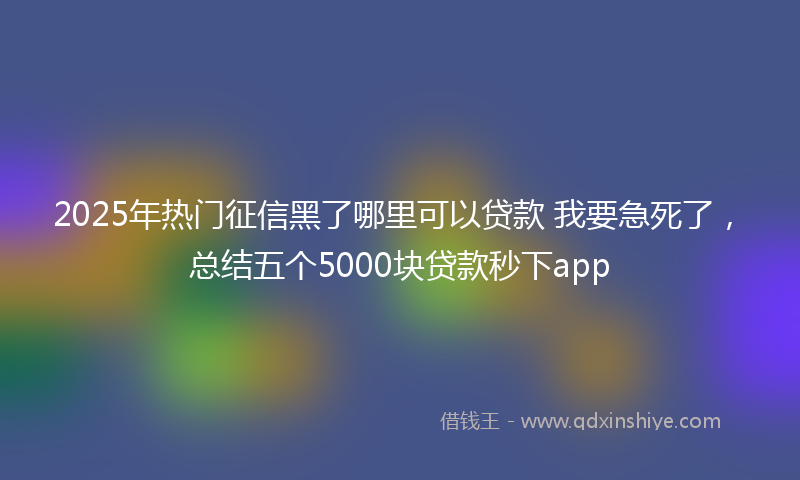 2025年热门征信黑了哪里可以贷款 我要急死了，总结五个5000块贷款秒下app