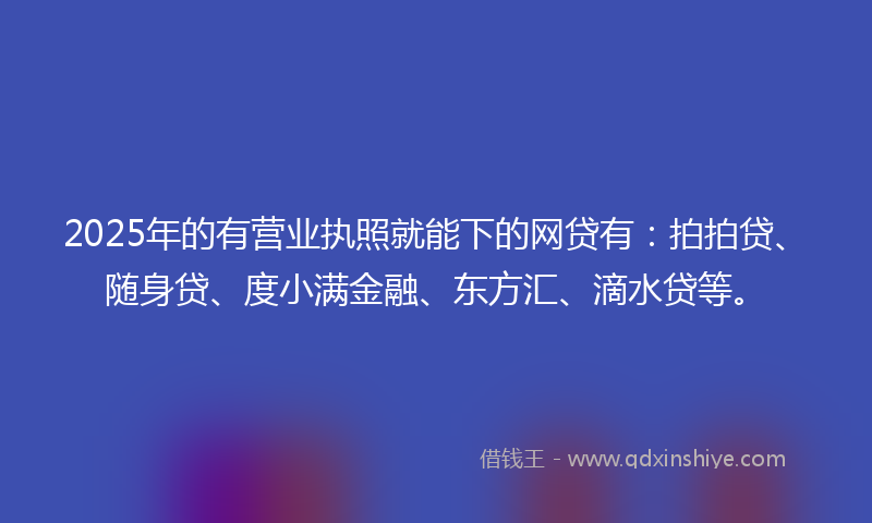 2025年的有营业执照就能下的网贷有：拍拍贷、随身贷、度小满金融、东方汇、滴水贷等。