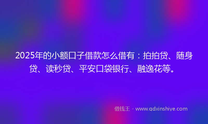 2025年的小额口子借款怎么借有：拍拍贷、随身贷、读秒贷、平安口袋银行、融逸花等。