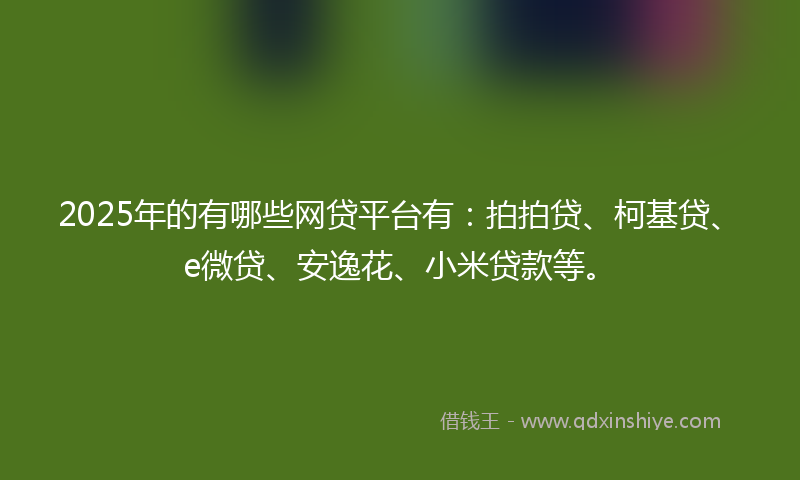 2025年的有哪些网贷平台有：拍拍贷、柯基贷、e微贷、安逸花、小米贷款等。