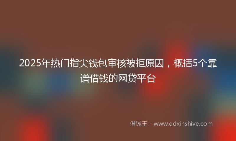 2025年热门指尖钱包审核被拒原因，概括5个靠谱借钱的网贷平台