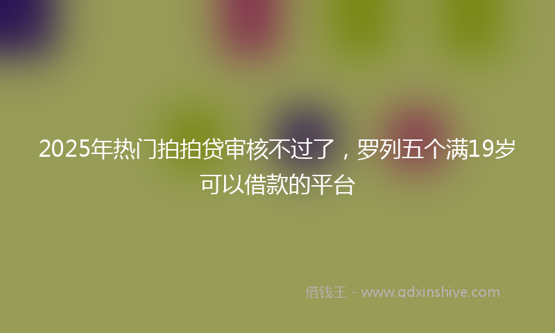 2025年热门拍拍贷审核不过了，罗列五个满19岁可以借款的平台