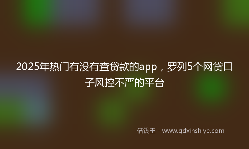 2025年热门有没有查贷款的app，罗列5个网贷口子风控不严的平台