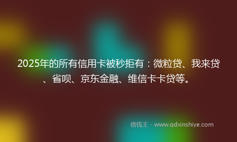 2025年的所有信用卡被秒拒有：微粒贷、我来贷、省呗、京东金融、维信卡卡贷等。