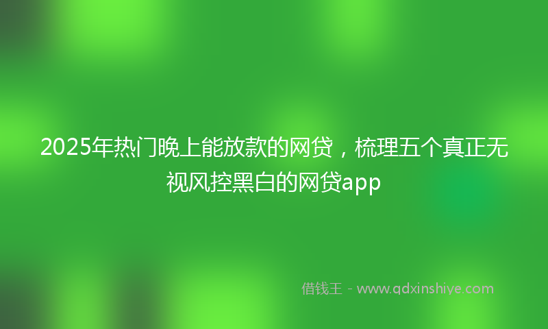 2025年热门晚上能放款的网贷，梳理五个真正无视风控黑白的网贷app