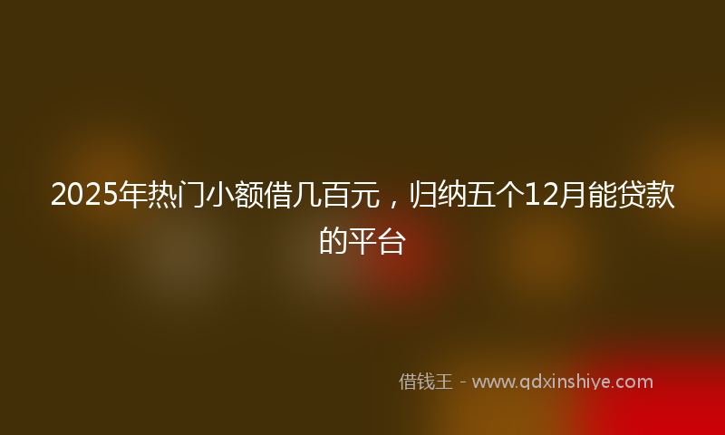 2025年热门小额借几百元，归纳五个12月能贷款的平台