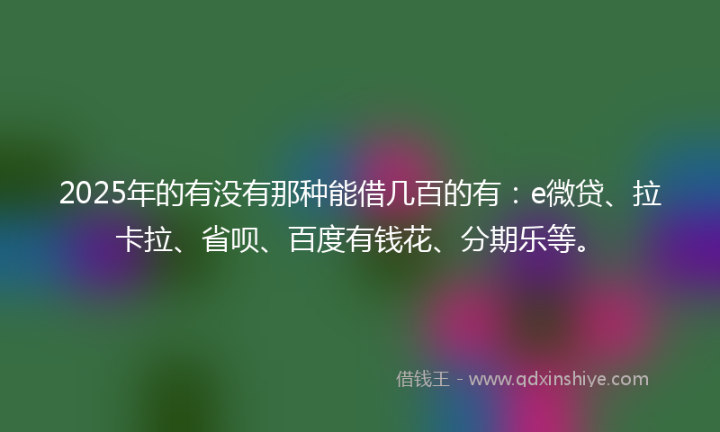 2025年的有没有那种能借几百的有：e微贷、拉卡拉、省呗、百度有钱花、分期乐等。