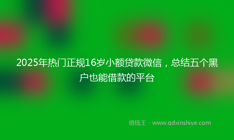 2025年热门正规16岁小额贷款微信，总结五个黑户也能借款的平台