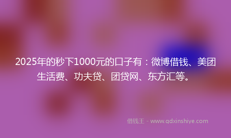 2025年的秒下1000元的口子有：微博借钱、美团生活费、功夫贷、团贷网、东方汇等。