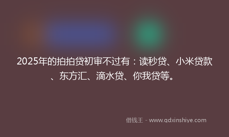 2025年的拍拍贷初审不过有：读秒贷、小米贷款、东方汇、滴水贷、你我贷等。