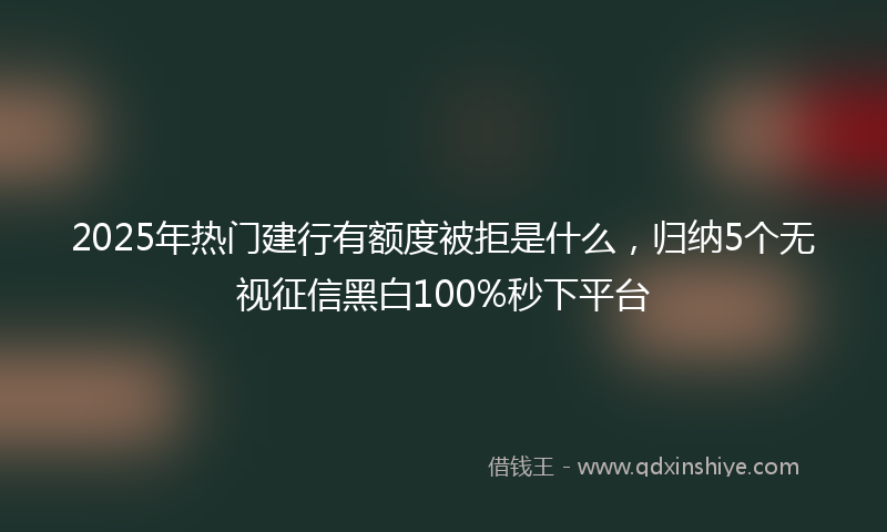 2025年热门建行有额度被拒是什么，归纳5个无视征信黑白100%秒下平台