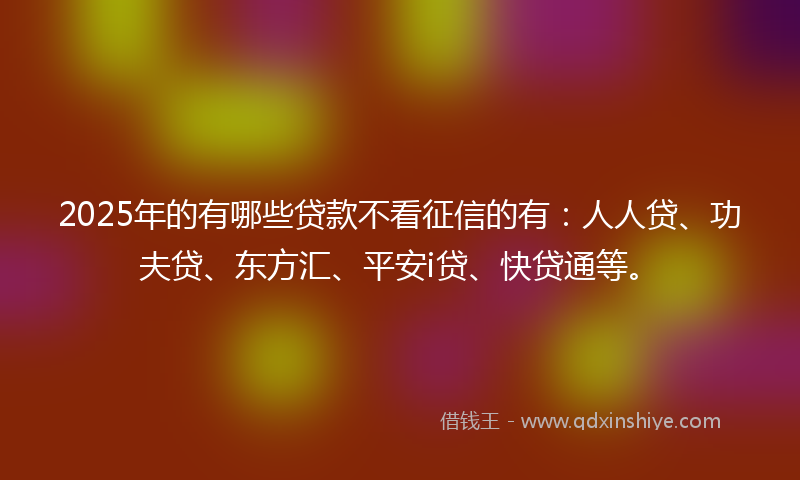 2025年的有哪些贷款不看征信的有：人人贷、功夫贷、东方汇、平安i贷、快贷通等。