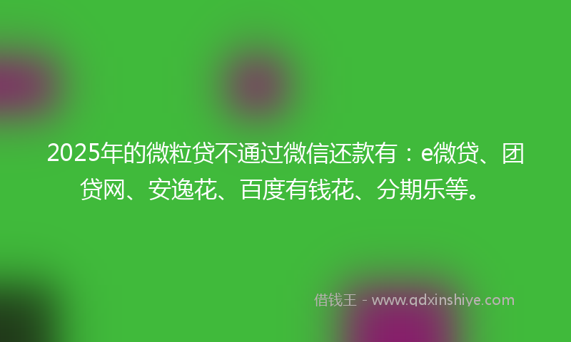 2025年的微粒贷不通过微信还款有：e微贷、团贷网、安逸花、百度有钱花、分期乐等。
