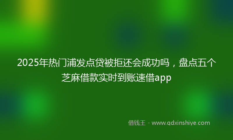 2025年热门浦发点贷被拒还会成功吗，盘点五个芝麻借款实时到账速借app