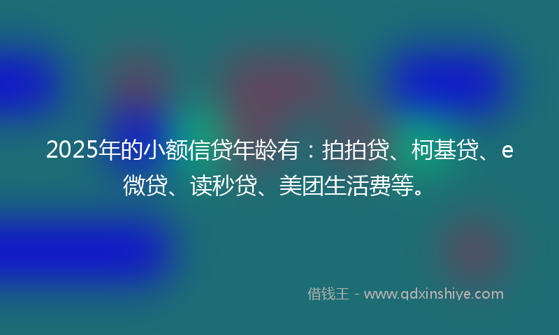 2025年的小额信贷年龄有：拍拍贷、柯基贷、e微贷、读秒贷、美团生活费等。