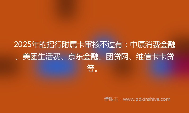 2025年的招行附属卡审核不过有：中原消费金融、美团生活费、京东金融、团贷网、维信卡卡贷等。