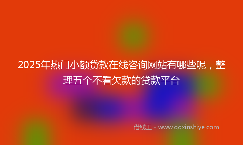 2025年热门小额贷款在线咨询网站有哪些呢，整理五个不看欠款的贷款平台