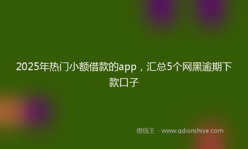 2025年热门小额借款的app，汇总5个网黑逾期下款口子