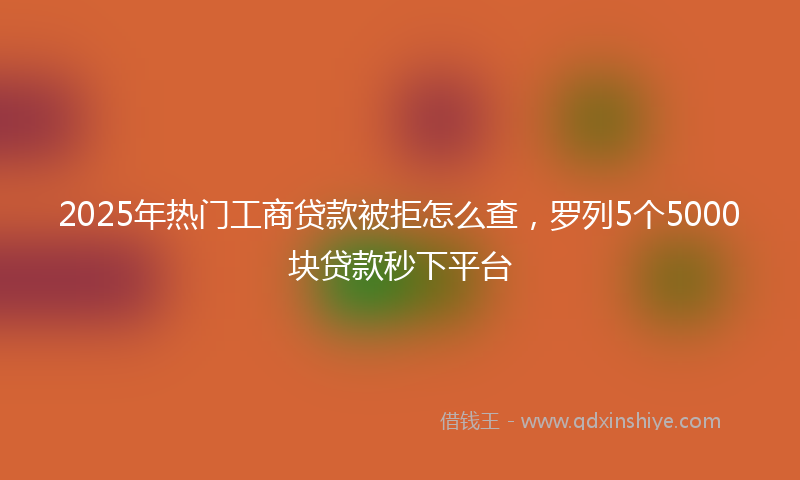 2025年热门工商贷款被拒怎么查，罗列5个5000块贷款秒下平台