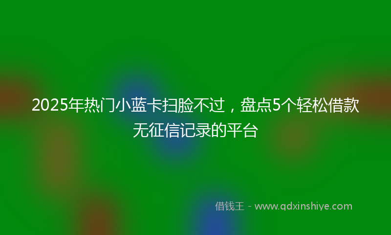 2025年热门小蓝卡扫脸不过，盘点5个轻松借款无征信记录的平台