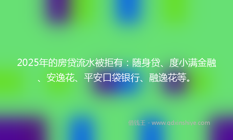 2025年的房贷流水被拒有：随身贷、度小满金融、安逸花、平安口袋银行、融逸花等。