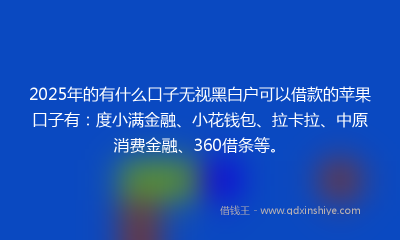 2025年的有什么口子无视黑白户可以借款的苹果口子有：度小满金融、小花钱包、拉卡拉、中原消费金融、360借条等。