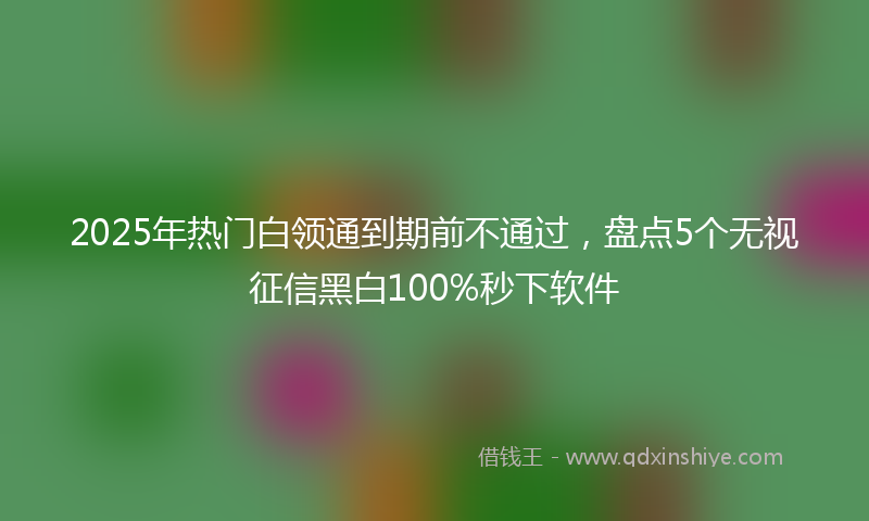 2025年热门白领通到期前不通过，盘点5个无视征信黑白100%秒下软件
