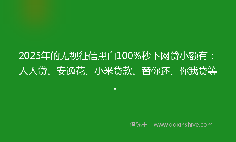 2025年的无视征信黑白100%秒下网贷小额有：人人贷、安逸花、小米贷款、替你还、你我贷等。