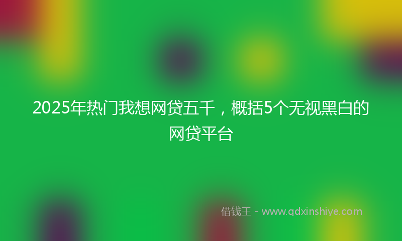 2025年热门我想网贷五千，概括5个无视黑白的网贷平台
