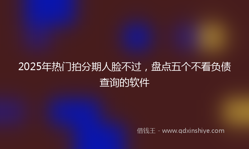 2025年热门拍分期人脸不过，盘点五个不看负债查询的软件