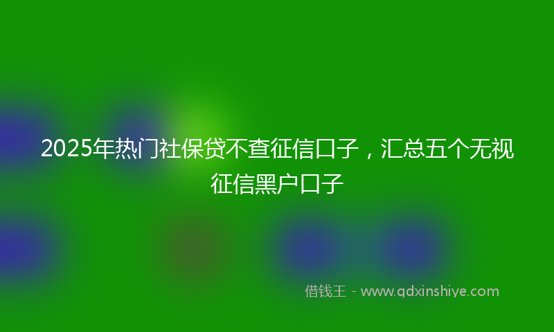 2025年热门社保贷不查征信口子，汇总五个无视征信黑户口子