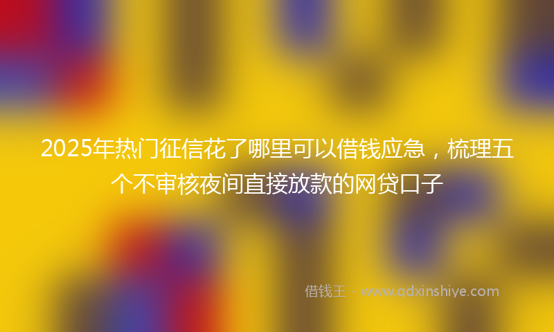 2025年热门征信花了哪里可以借钱应急，梳理五个不审核夜间直接放款的网贷口子